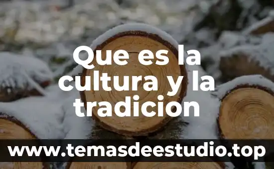Que es estimulo fiscal al arte y cultura 6 Que es la cultura y la tradicion