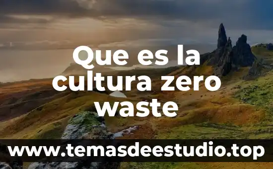 Que es la cultura zero waste