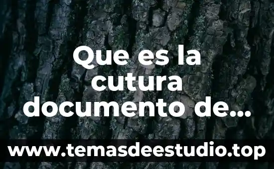 Que es un documento de identidad de irene diaz 7 Que es la cutura documento de santo domingo