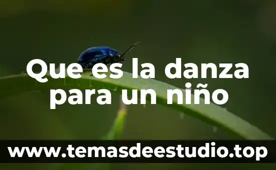 Que es danza definicion 8 Que es la danza para un niño