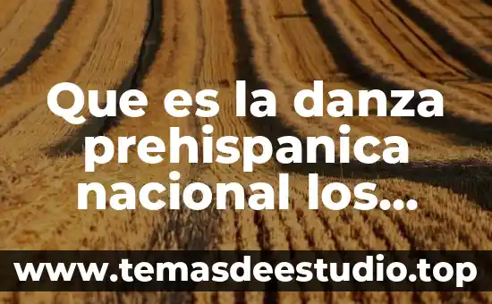 Que es el programa nacional de lectura 8 Que es la danza prehispanica nacional los voladores de papantla