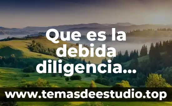 Que es la debida diligencia derechos humanos