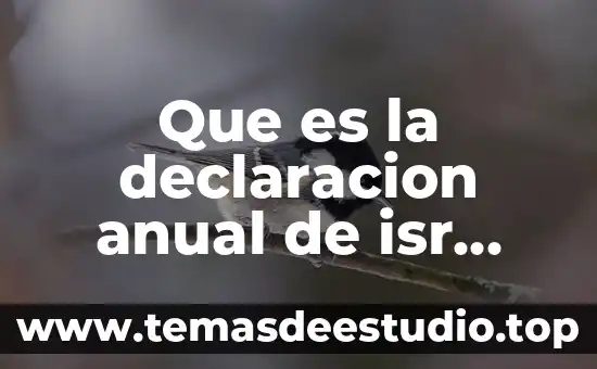 Firmas de personas fisicas que es 4 Que es la declaracion anual de isr personas fisicas