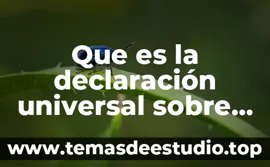 Ilutracion que es historia universal 4 Que es la declaración universal sobre lo derechos del hombre