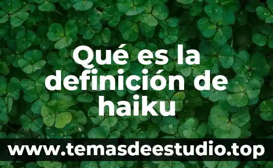 Qué es un soudern definición 5 Qué es la definición de haiku