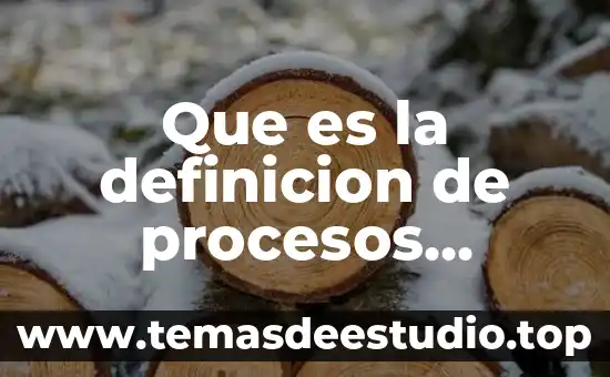 Que es la definicion de procesos informativa