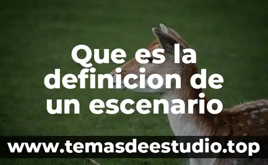 Qué es epicanto definición 5 Que es la definicion de un escenario