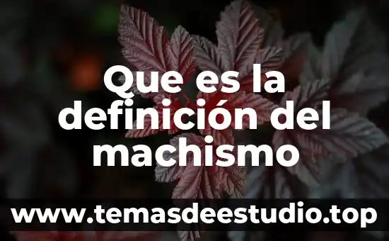 Qué es administración agropecuaria definición 4 Que es la definición del machismo
