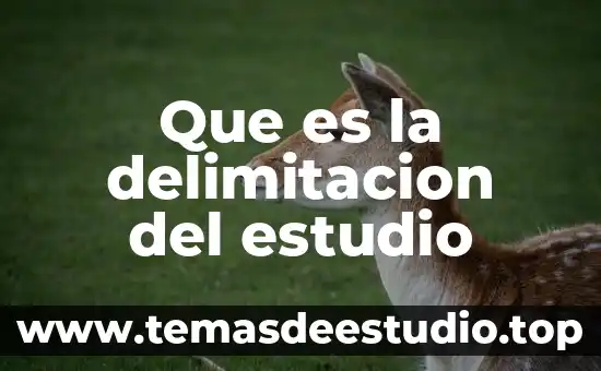 Qué es delimitación del tema en metodología de la investigación 5 Que es la delimitacion del estudio