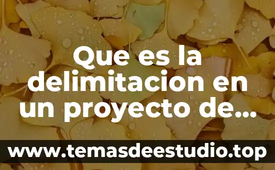Qué es delimitación del tema en metodología de la investigación 7 Que es la delimitacion en un proyecto de investigacion