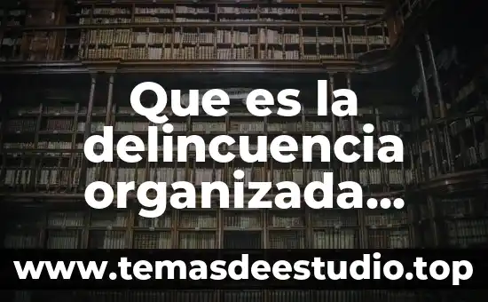 Qué es senante en México 3 Que es la delincuencia organizada como problema social en mexico