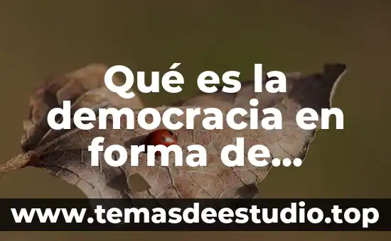 Que es la estructura climatica 5 Qué es la democracia en forma de sociedad