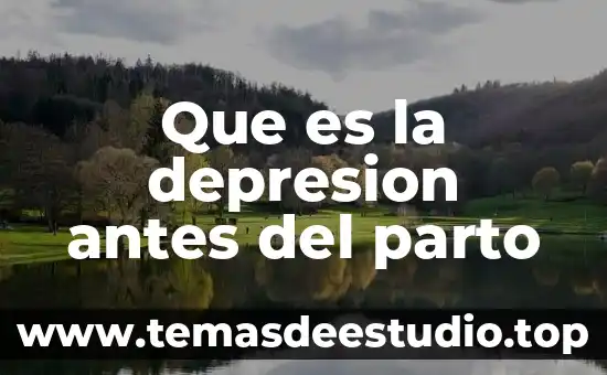 Qué es la depresión concepto 8 Que es la depresion antes del parto
