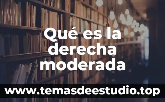 Que es pielectasia derecha 4 Qué es la derecha moderada