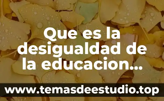 Qué es vark en la educación significado 7 Que es la desigualdad de la educacion definicion