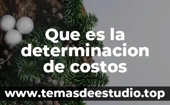 Que es una recuperacion de costos 7 Que es la determinacion de costos