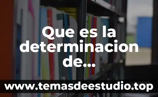 Que es la determinacion de requerimeintos de un proyecto