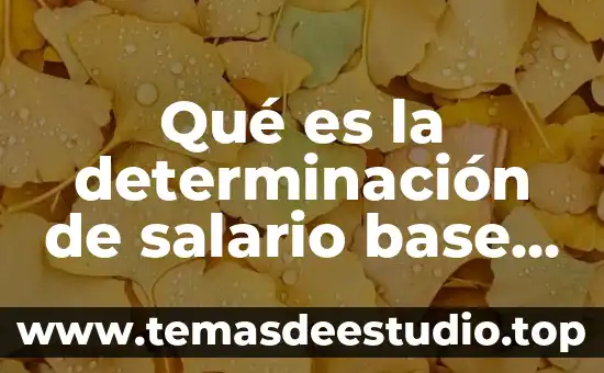 Que es el tipo de grafico cotizacion 8 Qué es la determinación de salario base de cotización