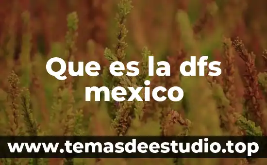 Que es justicia segun mexico 5 Que es la dfs mexico