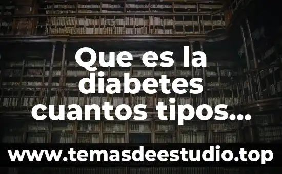 Qué es un sistema de información y cuantos tipos 8 Que es la diabetes cuantos tipos hay medidas de prevención
