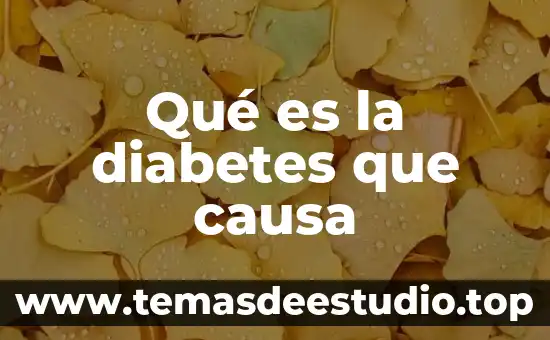 Qué es la diabetes concepto para niños 6 Qué es la diabetes que causa