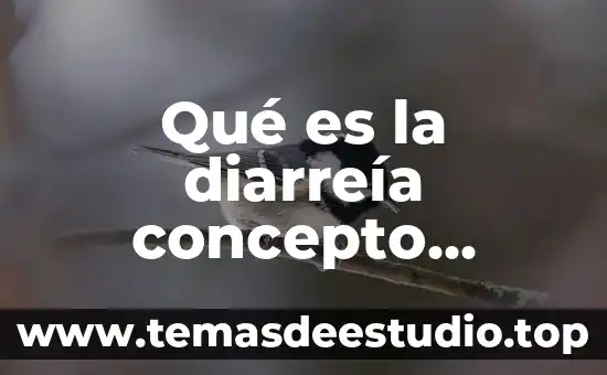 Que es la cultura popular yahoo 5 Qué es la diarreía concepto popular