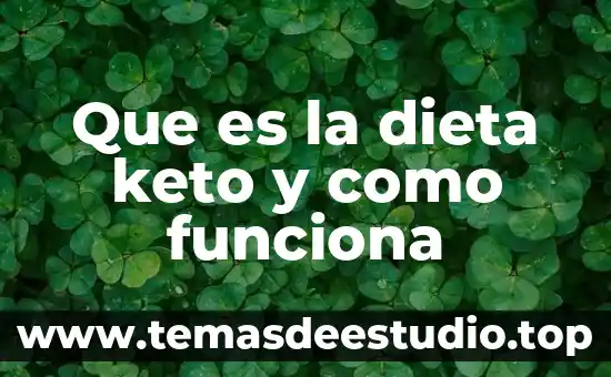 Que es ethereum code y como funciona 6 Que es la dieta keto y como funciona