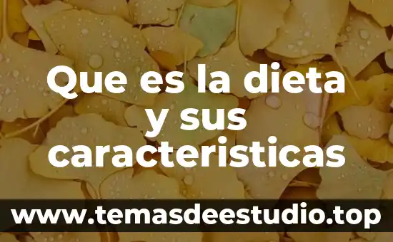 Que es la fuerza resistencia caracteristicas 8 Que es la dieta y sus caracteristicas