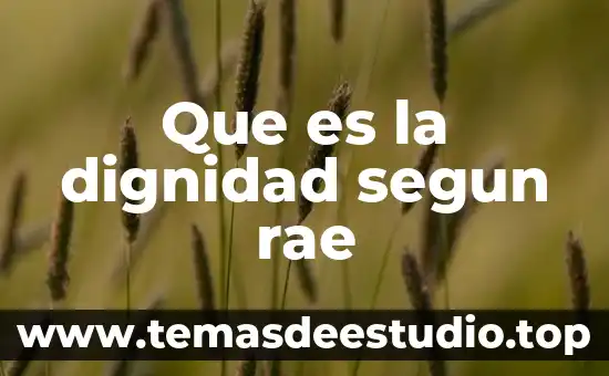 Que es la dignidad segun rae