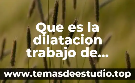 Qué es la sociedad de trabajo 7 Que es la dilatacion trabajo de parto