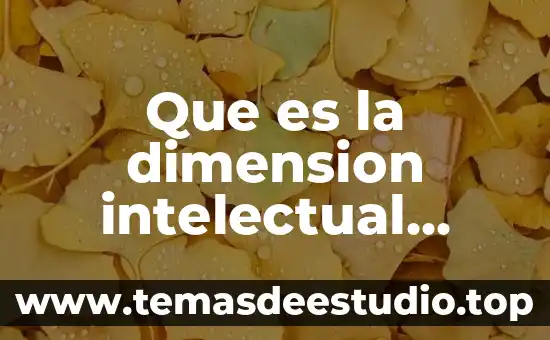 Que es la dimension intelectual ejemplo