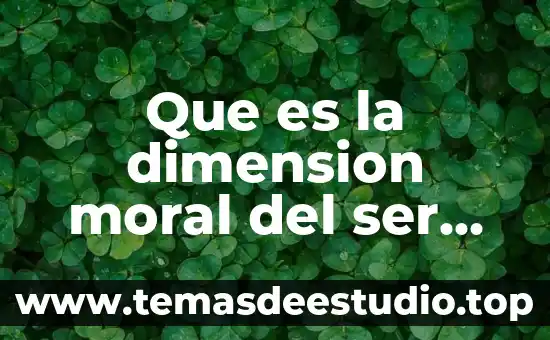Que es la dimension moral del ser humano