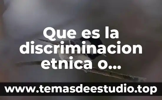 Que es discriminacion concepto 6 Que es la discriminacion etnica o cultural ejemplos