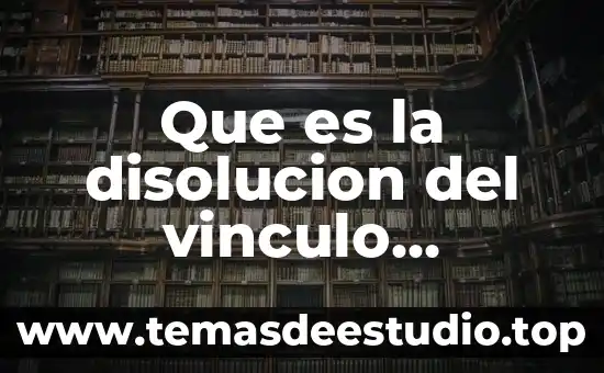 Que es la firma electronica avanzada en mexico 4 Que es la disolucion del vinculo matrimonial mexico