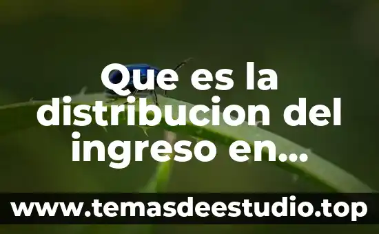 Qué es el índice de ingreso por habitante 3 Que es la distribucion del ingreso en familias