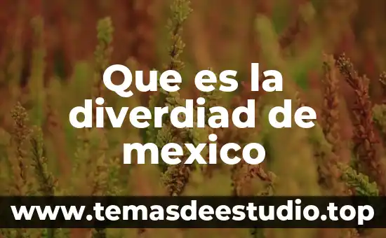 Que es el sobresueldo en mexico 5 Que es la diverdiad de mexico