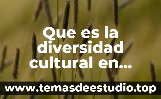 Que es la diversidad cultural en sociologia