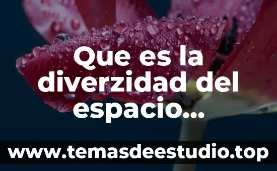 Que es marco geografico de una empresa 3 Que es la diverzidad del espacio geográfico
