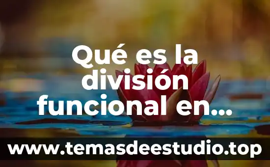 Qué es mqu sistemas de media existen 7 Qué es la división funcional en sistemas