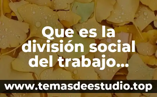 Concepto que es social 5 Que es la división social del trabajo libros