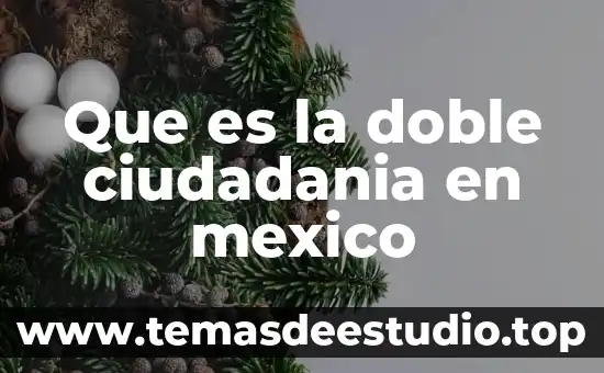Que es la doble ciudadania en mexico