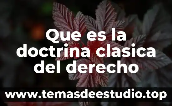 Que es la doctrina clasica del derecho