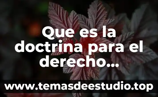 Amor cortes que es 6 Que es la doctrina para el derecho internacional publico