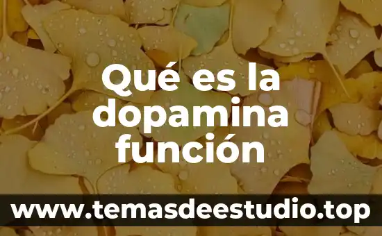Que es la función en arquitectura 3 Qué es la dopamina función