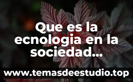 Que es la cultura contemporanea de mexico 6 Que es la ecnologia en la sociedad contemporanea