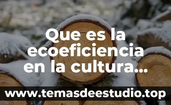 Que es cultura la guia 4 Que es la ecoeficiencia en la cultura administrativa