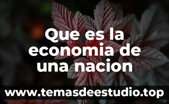 Que es una meta en economia 7 Que es la economia de una nacion