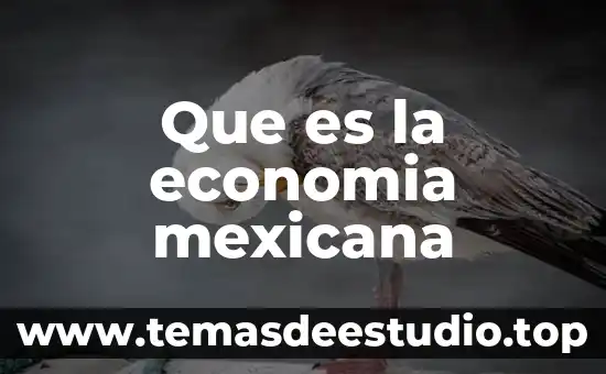 Que es la cultura mexicana y la muerte 6 Que es la economia mexicana