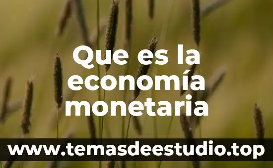Que es la economía monetaria