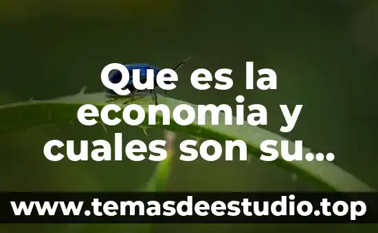 Que es la economia y cuales son su clasificacion